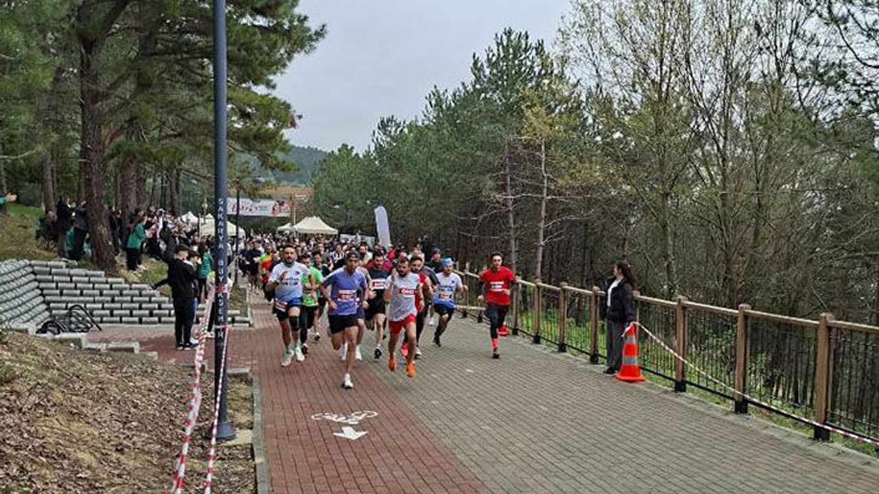 Sakarya 1. Bahar Kosusunda Hendek Damgası