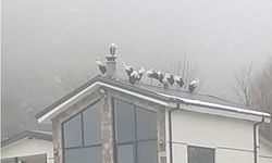 Göç Yolculuğuna Hendek’te Mola