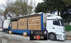 Hendek’te 8 Milyon Adet makaron Ele Geçirildi