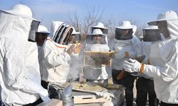 Baharın Bereketi Kovanlara Taşındı: Sakaryalı Arıcılar İş Başında