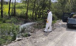 Hendek Belediyesi’nden Sinek Ve Haşerelere Karşı Erken Önlem