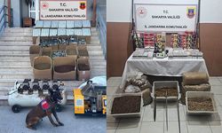 Binlerce Bandrolsüz Makaron ve Tütün Ele Geçirildi