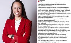 Hendek’te Ağaç Kesimine Yürütmeyi Durdurma Kararı