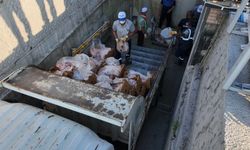 Hendek’te 5,5 Ton Kaçak Sucuk Ele Geçirildi