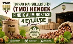 Hendek’te TMO Fındık Alım Noktası Açılıyor