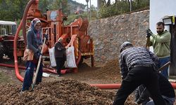 Hendek’in Yüksek Kesimlerinde Fındık Hasadı Devam Ediyor