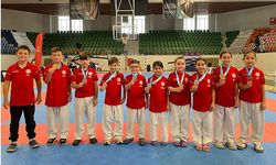 Hendek Olimpik Spor Kulübü 20 Madalya Kazandı