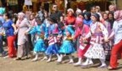 Hendek Çiğdem Yaylası