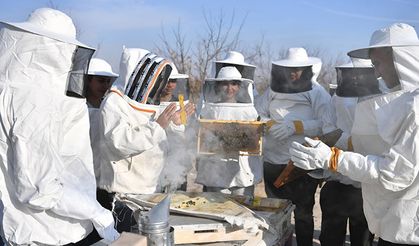 Baharın Bereketi Kovanlara Taşındı: Sakaryalı Arıcılar İş Başında