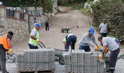 Hendek’te Saha Çalışmaları Hız Kesmeden Devam Ediyor