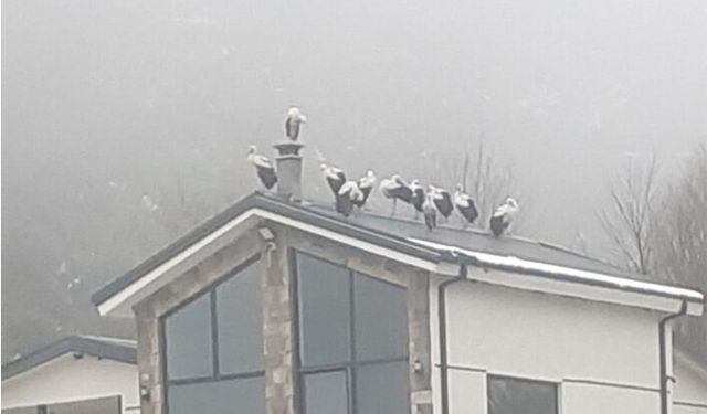 Göç Yolculuğuna Hendek’te Mola