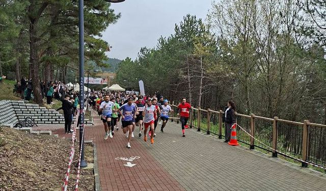 Sakarya 1. Bahar Kosusunda Hendek Damgası