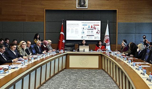 TBMM Komisyonu İstanbul, Sakarya ve Hendek’te Temaslarda Bulunacak