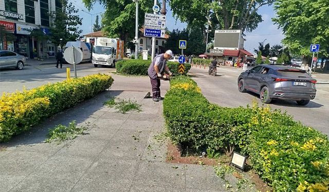 Hendek’te Yeşil Alanlarda Kapsamlı Temizlik Çalışması