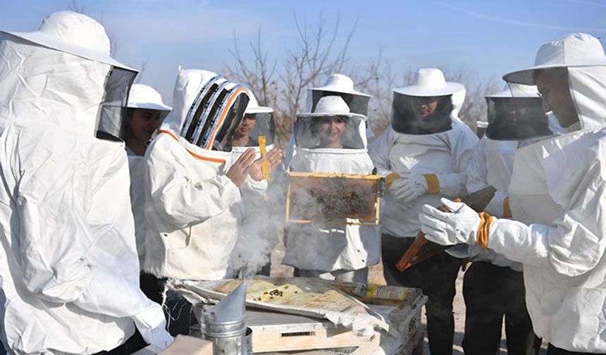 Baharın Bereketi Kovanlara Taşındı: Sakaryalı Arıcılar İş Başında
