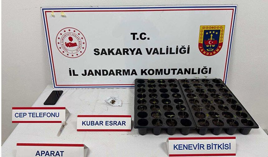 Jandarma’dan Uyuşturucu Operasyonu, 4 Tutuklama